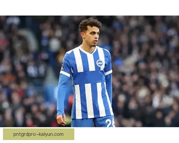 英超外援表现分析：各国球员状态回暖，贡献逐渐显著